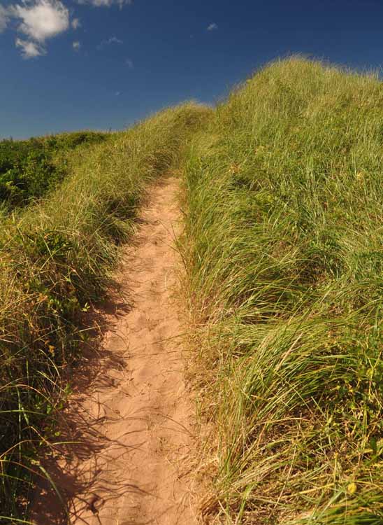 dunes